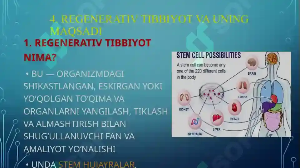 Product slide 8