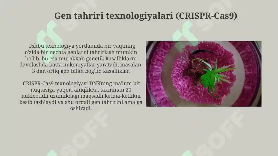 Product slide 5