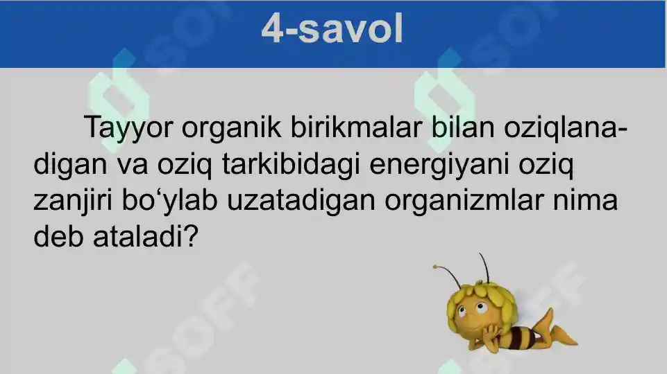 Product slide 8