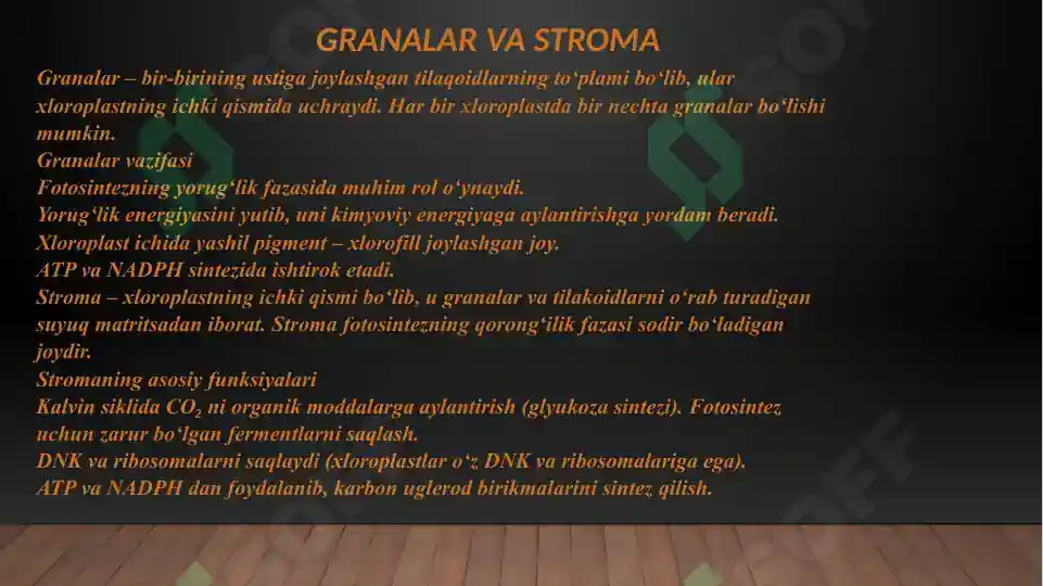 Product slide 6