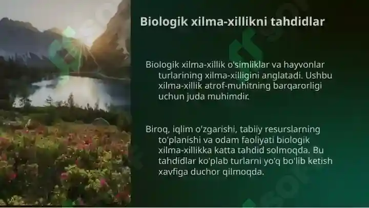 Product slide 6