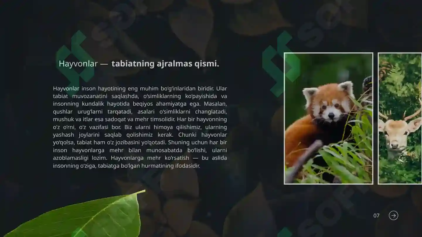 Product slide 7
