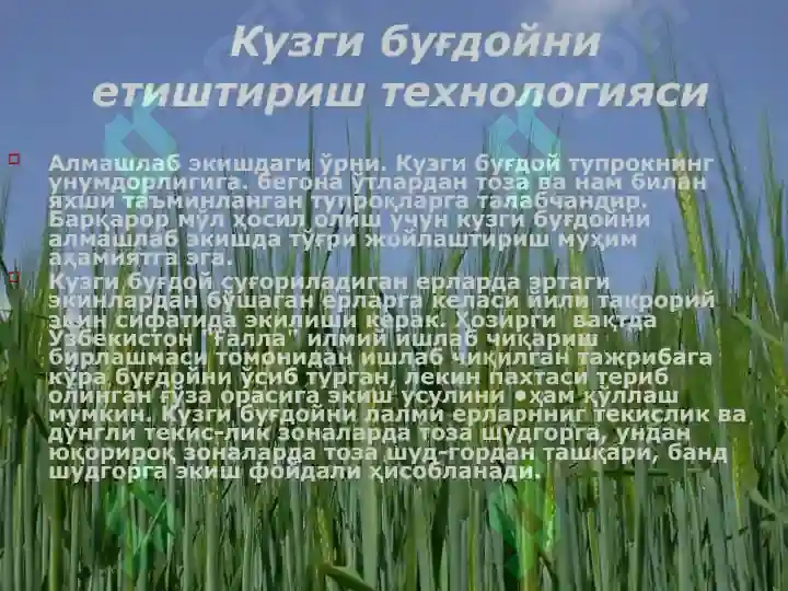 Product slide 8