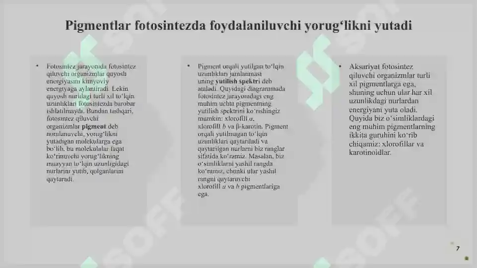 Product slide 7
