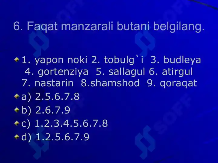 Product slide 7