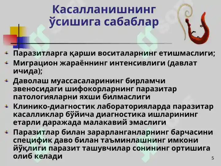 Product slide 5