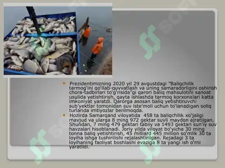 Product slide 8