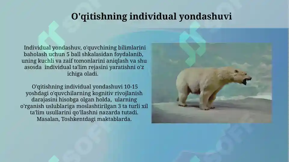 Product slide 5