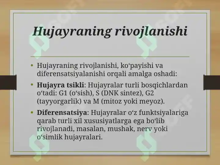 Product slide 5