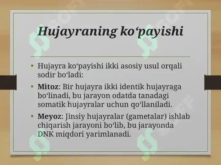 Product slide 6