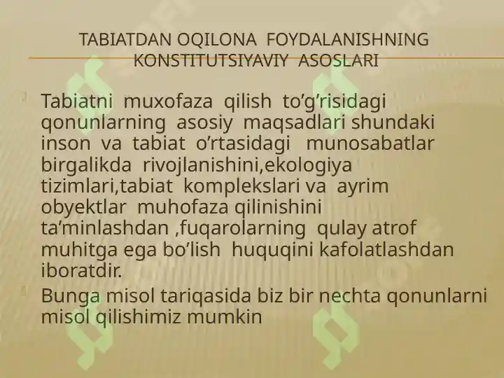 Product slide 8