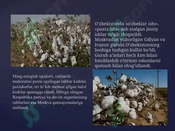 Product slide 5
