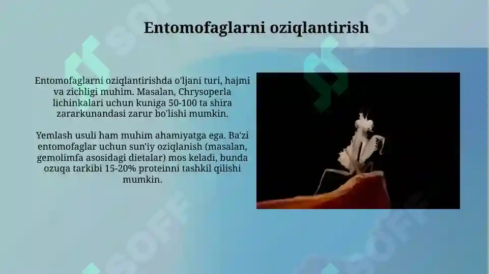 Product slide 6