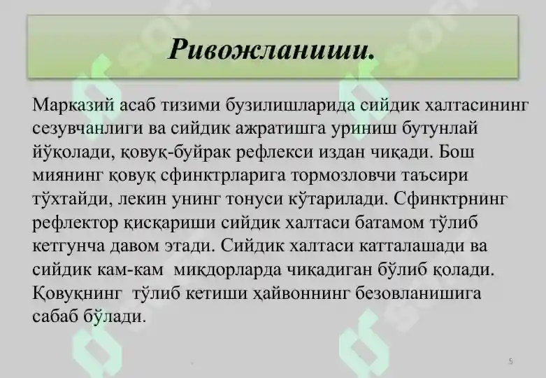Product slide 5