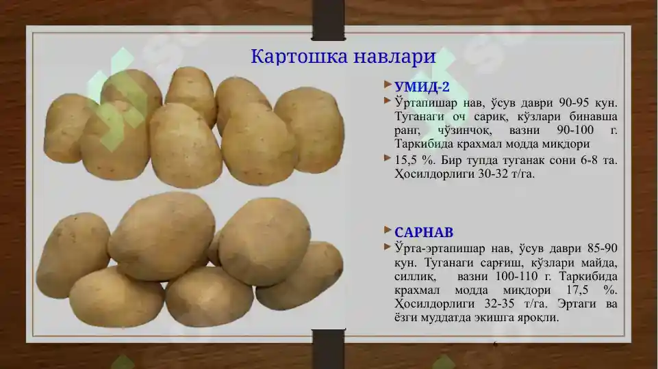 Product slide 6