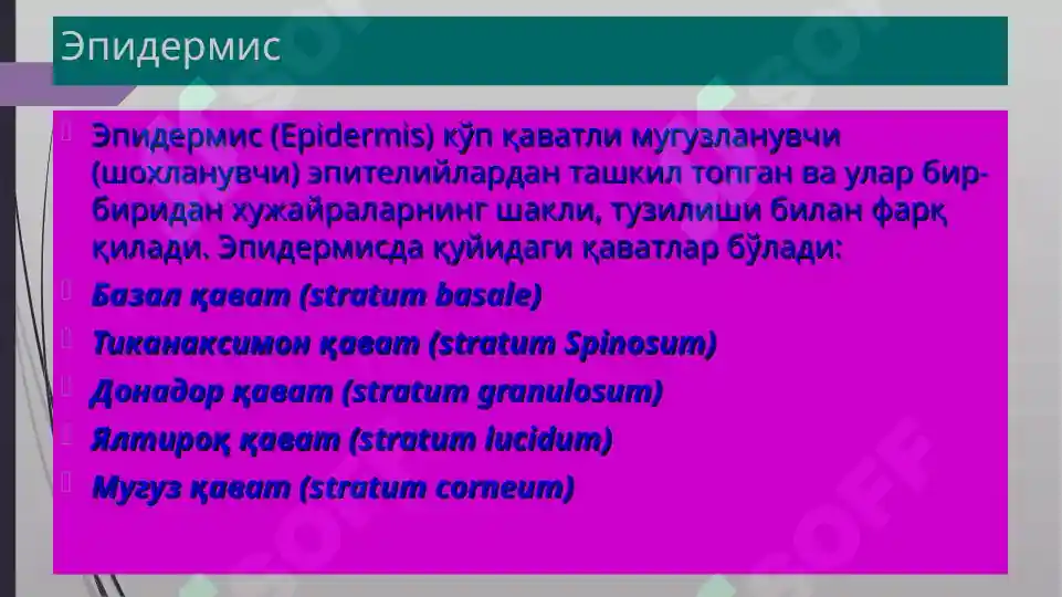 Product slide 5