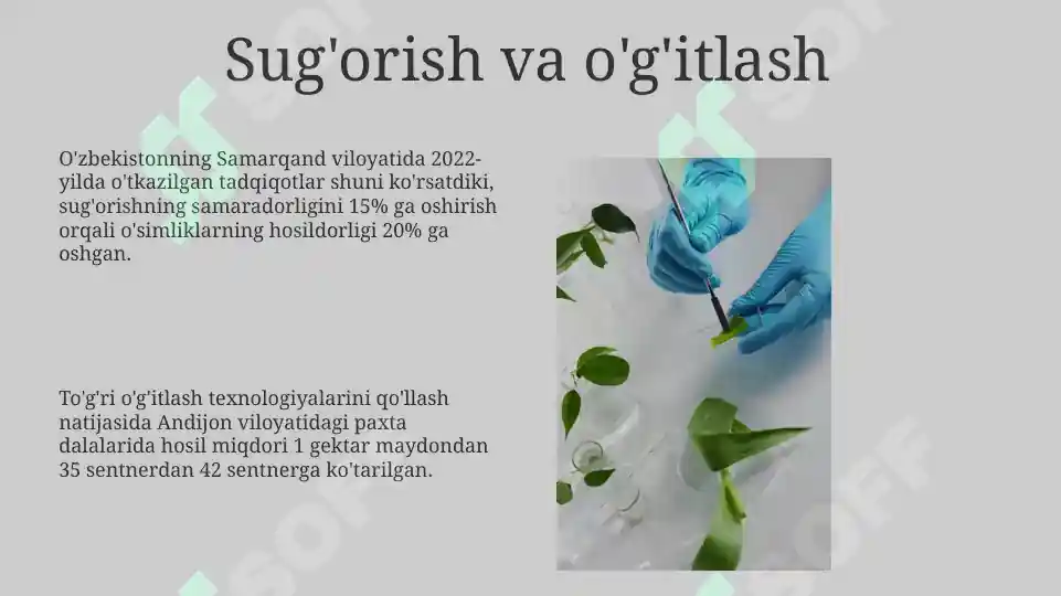 Product slide 8