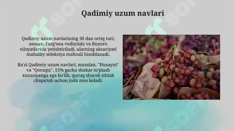 Product slide 6