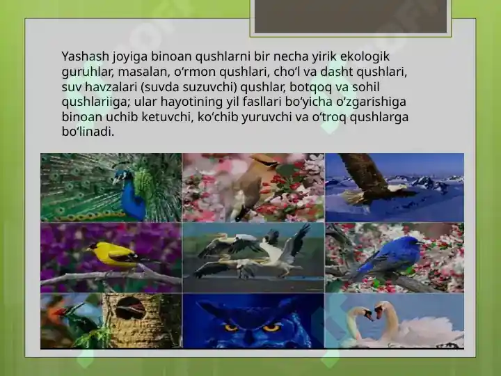 Product slide 5