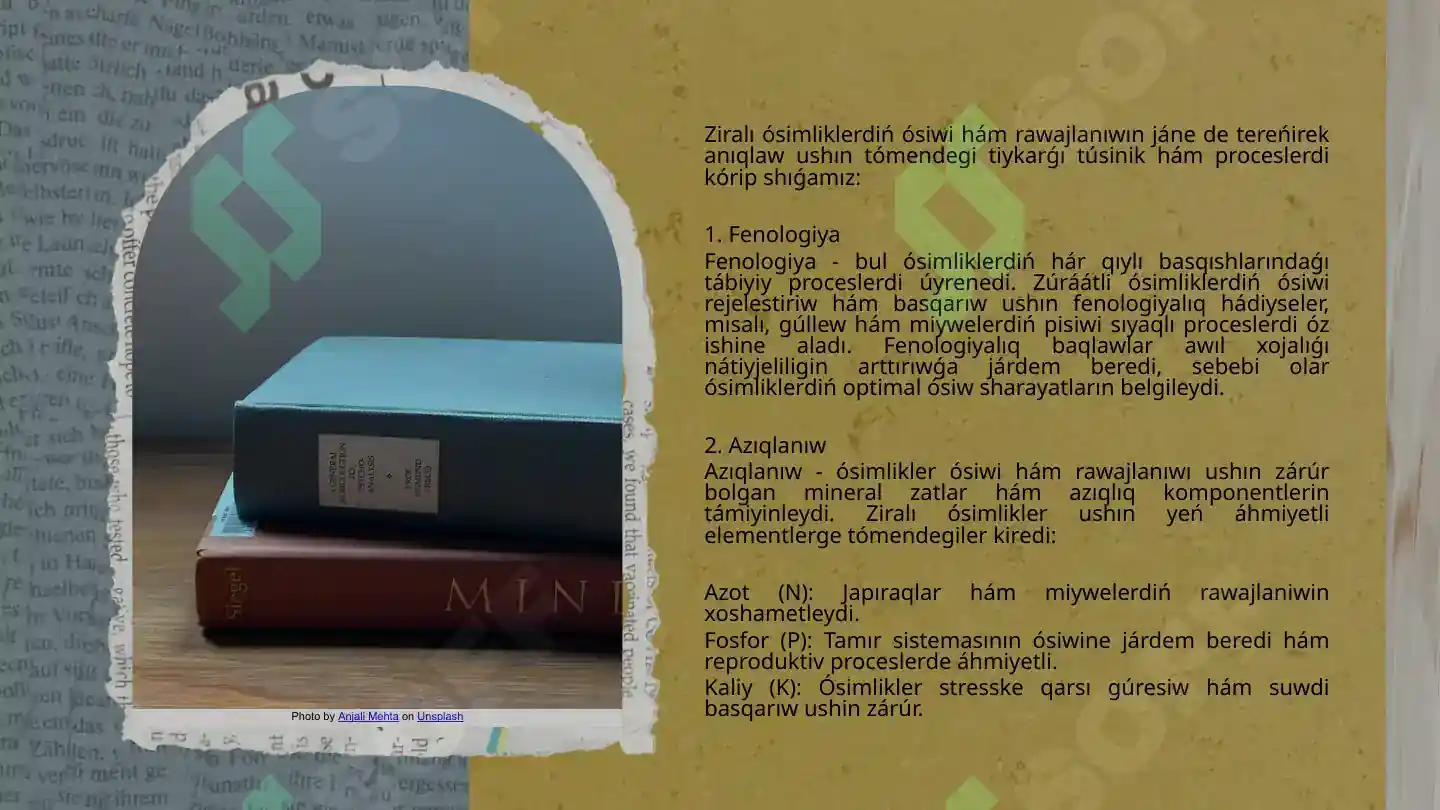 Product slide 7