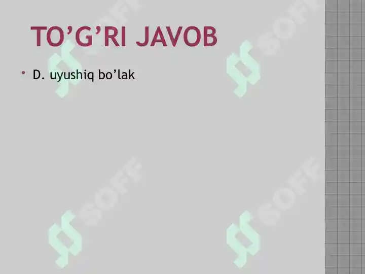 Product slide 5