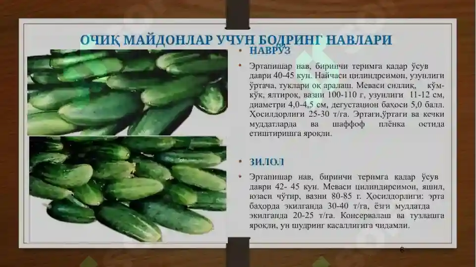 Product slide 6