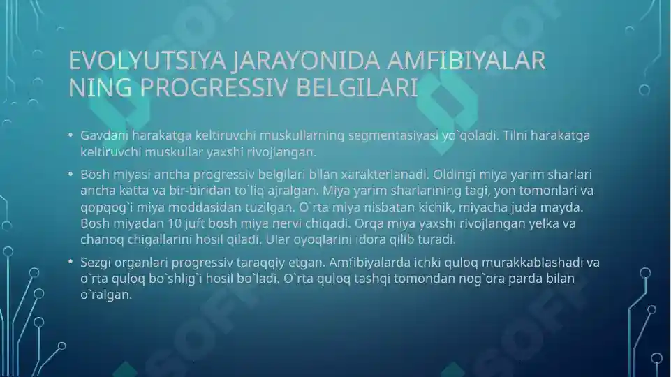 Product slide 6