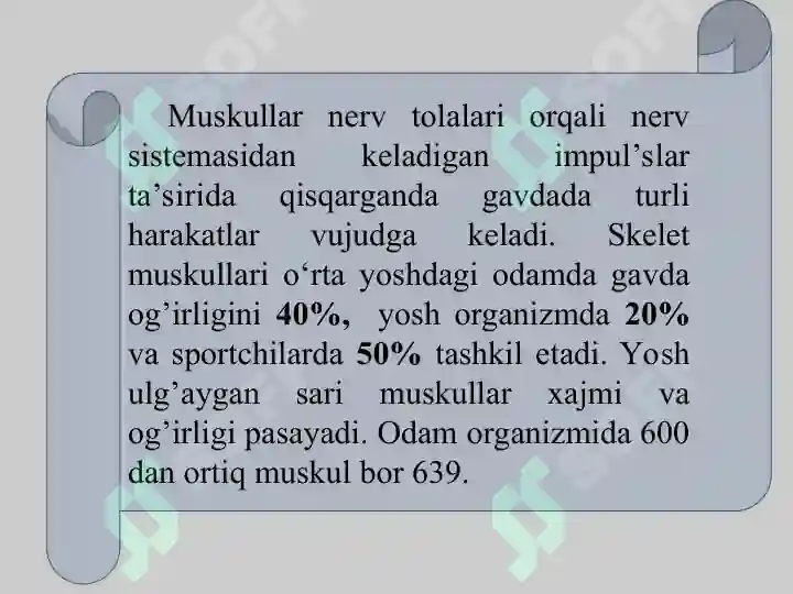 Product slide 5