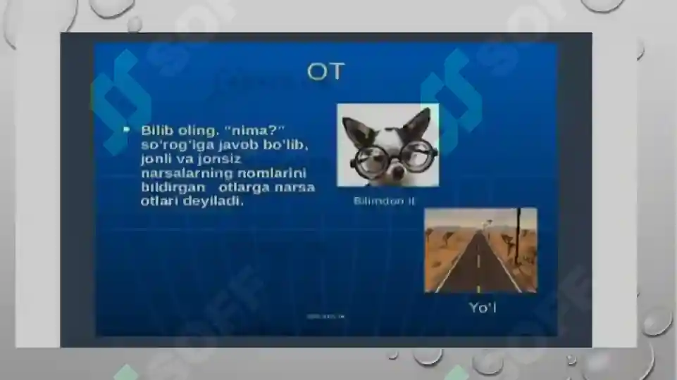Product slide 7