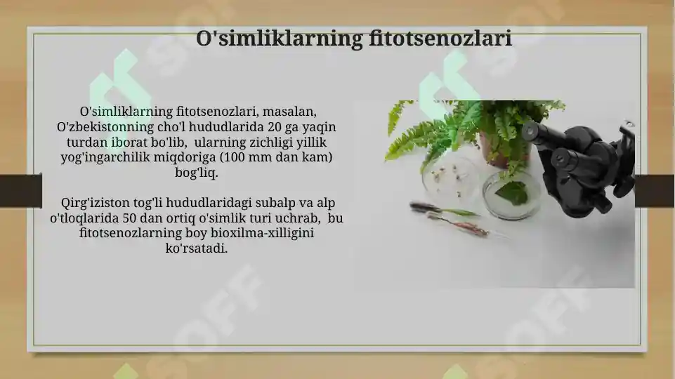 Product slide 6