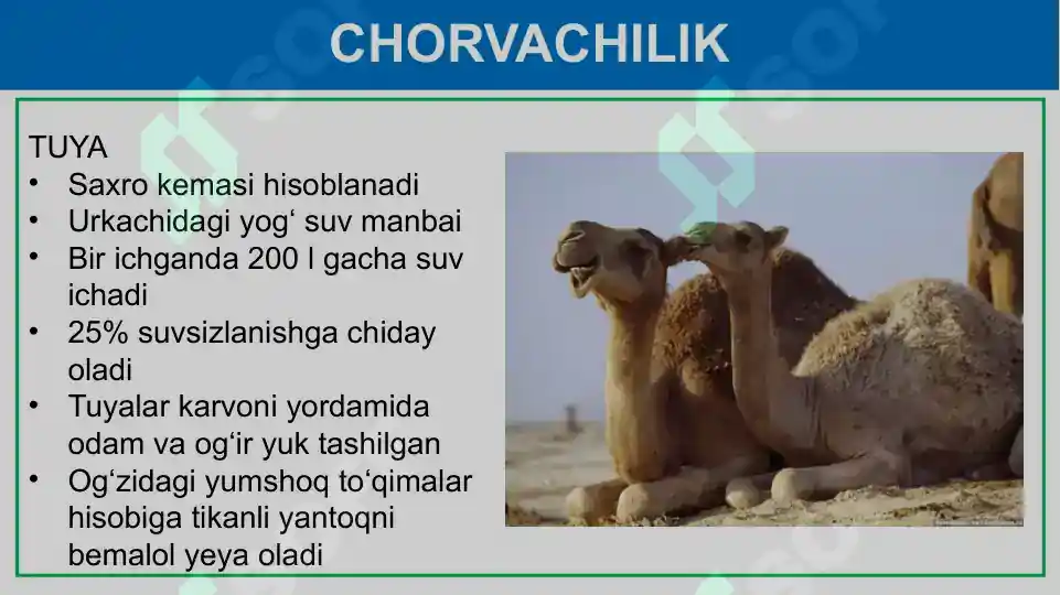 Product slide 7
