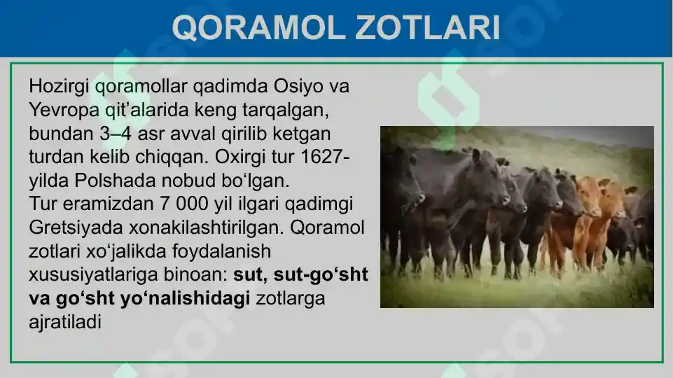 Product slide 8
