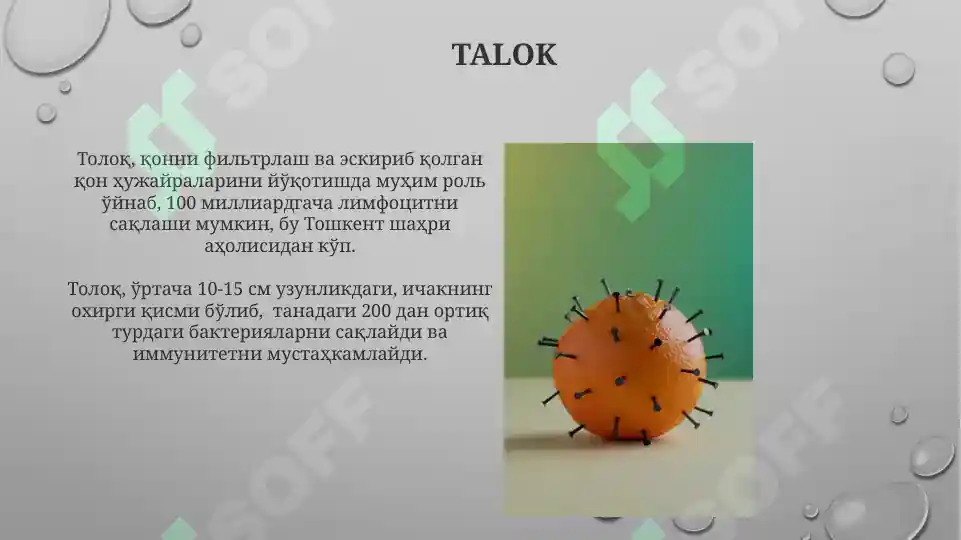 Product slide 6
