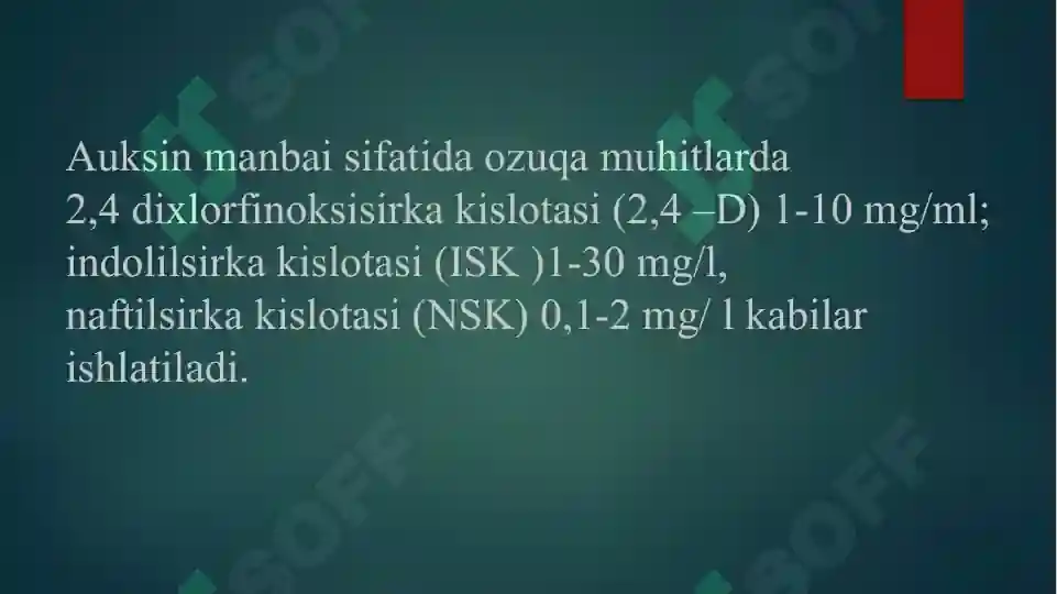 Product slide 6