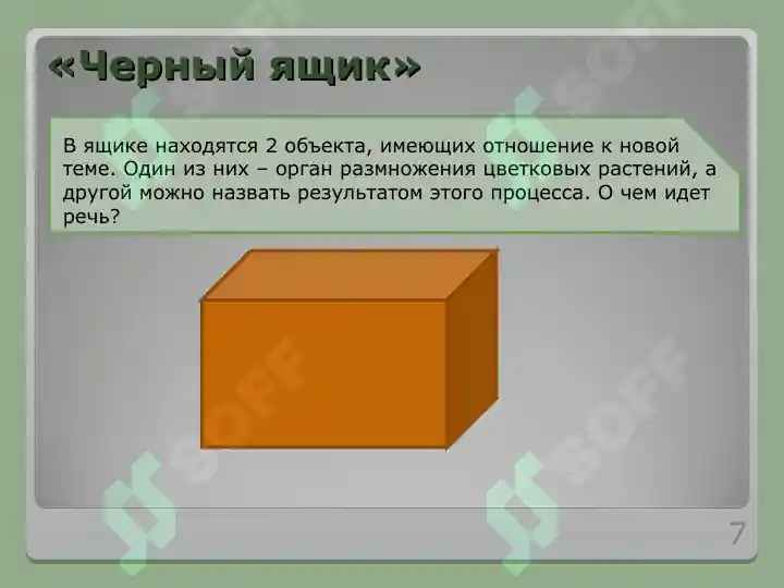 Product slide 7