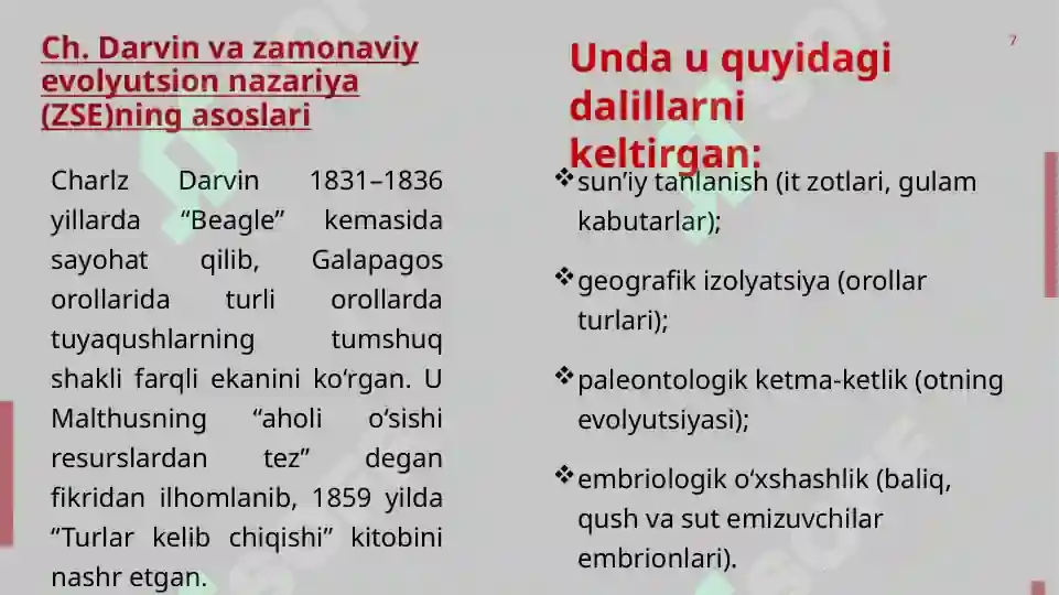 Product slide 7