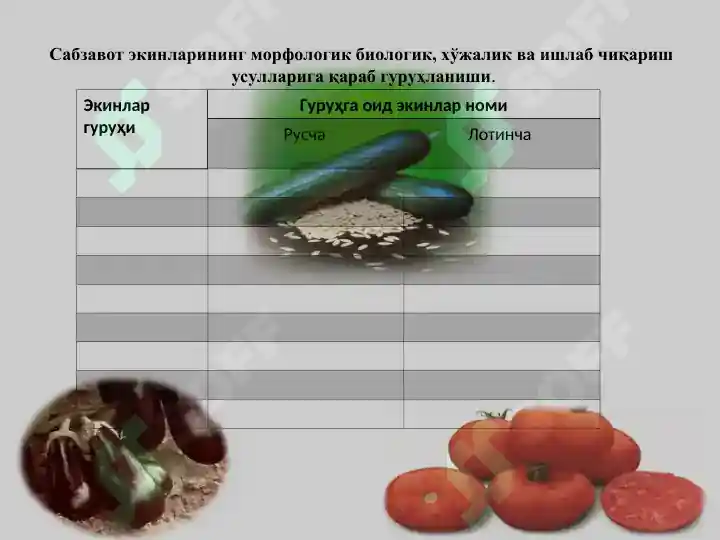 Product slide 7