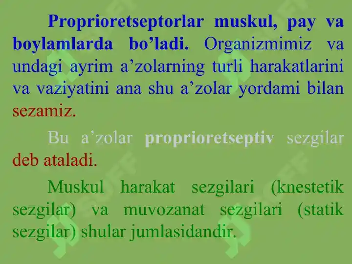 Product slide 8