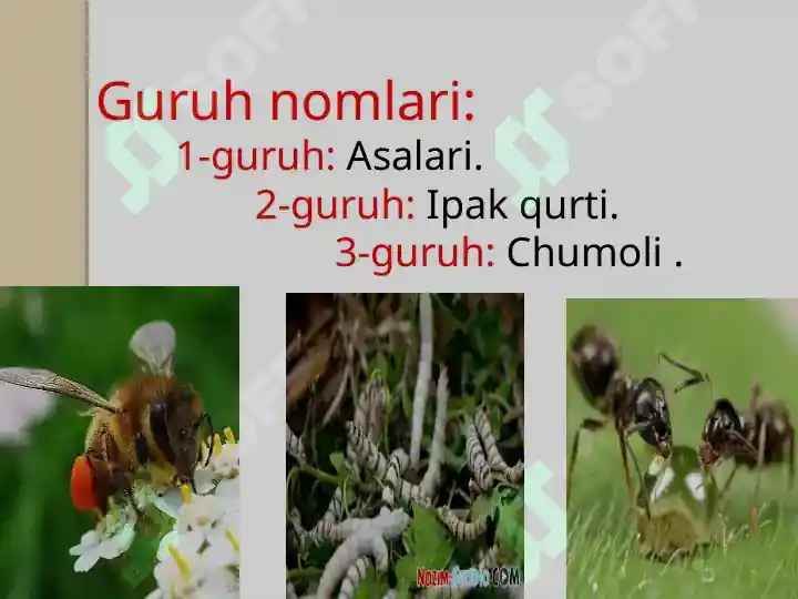 Product slide 5