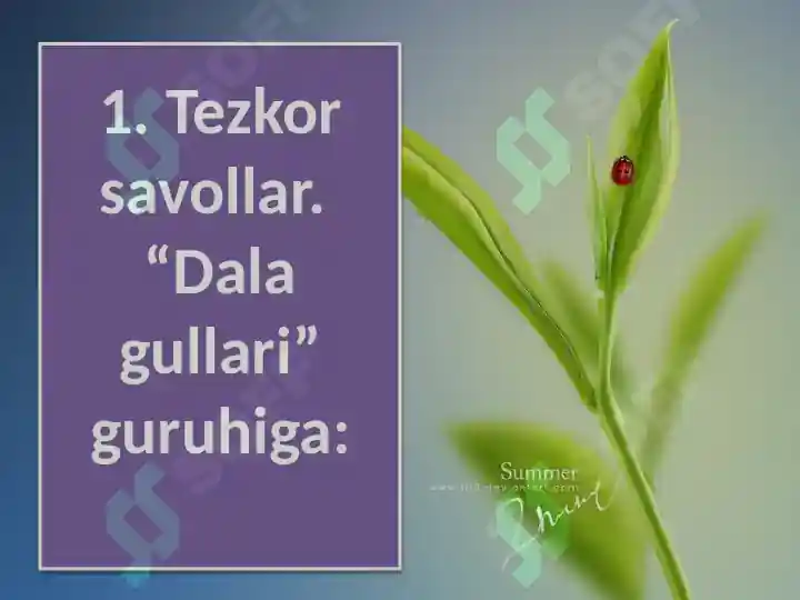 Product slide 5