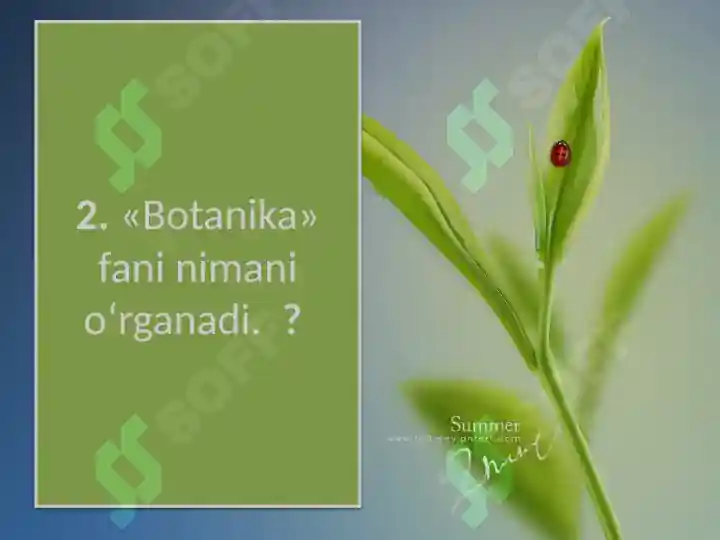 Product slide 7