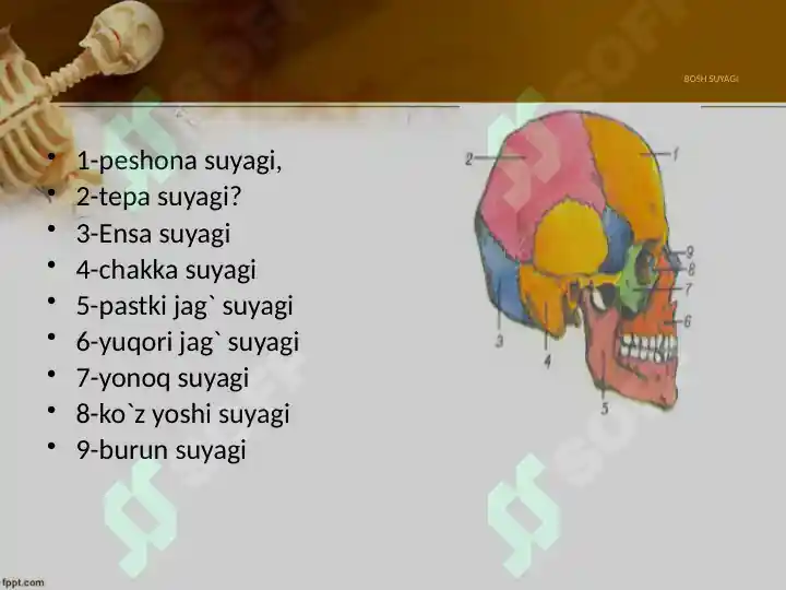 Product slide 8