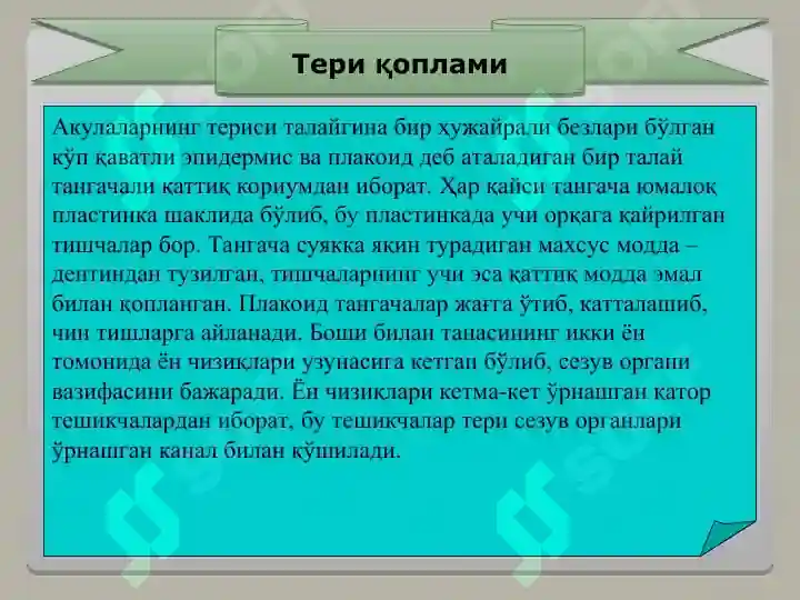 Product slide 8