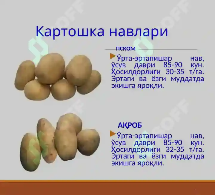 Product slide 7