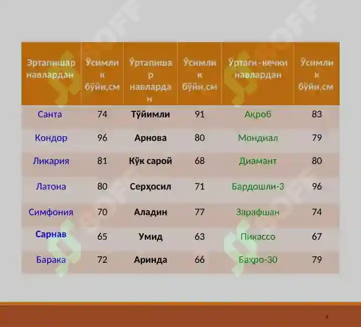 Product slide 8