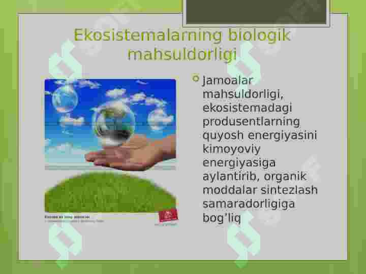 Product slide 7