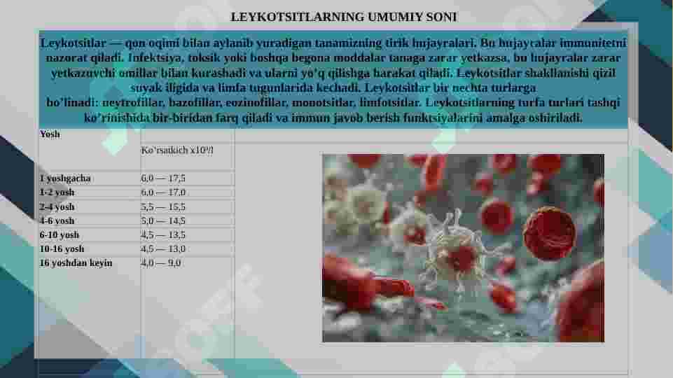 Product slide 6
