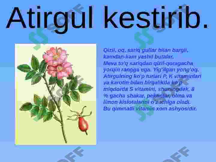 Product slide 7