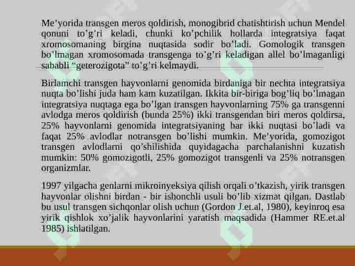 Product slide 7