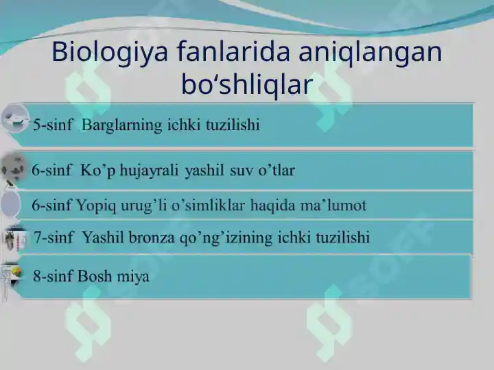 Product slide 5